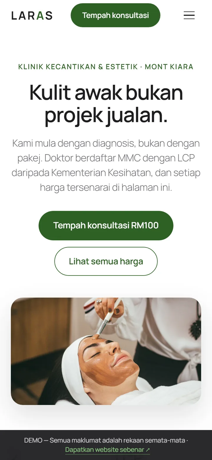 Screenshot of the LARAS site